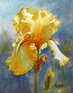 Yellow Iris 11 x 14 final ptg Kathleen Lanzoni, Watercolor Artist, Boulder, Colorado