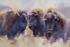 Buffalo watercolor painting