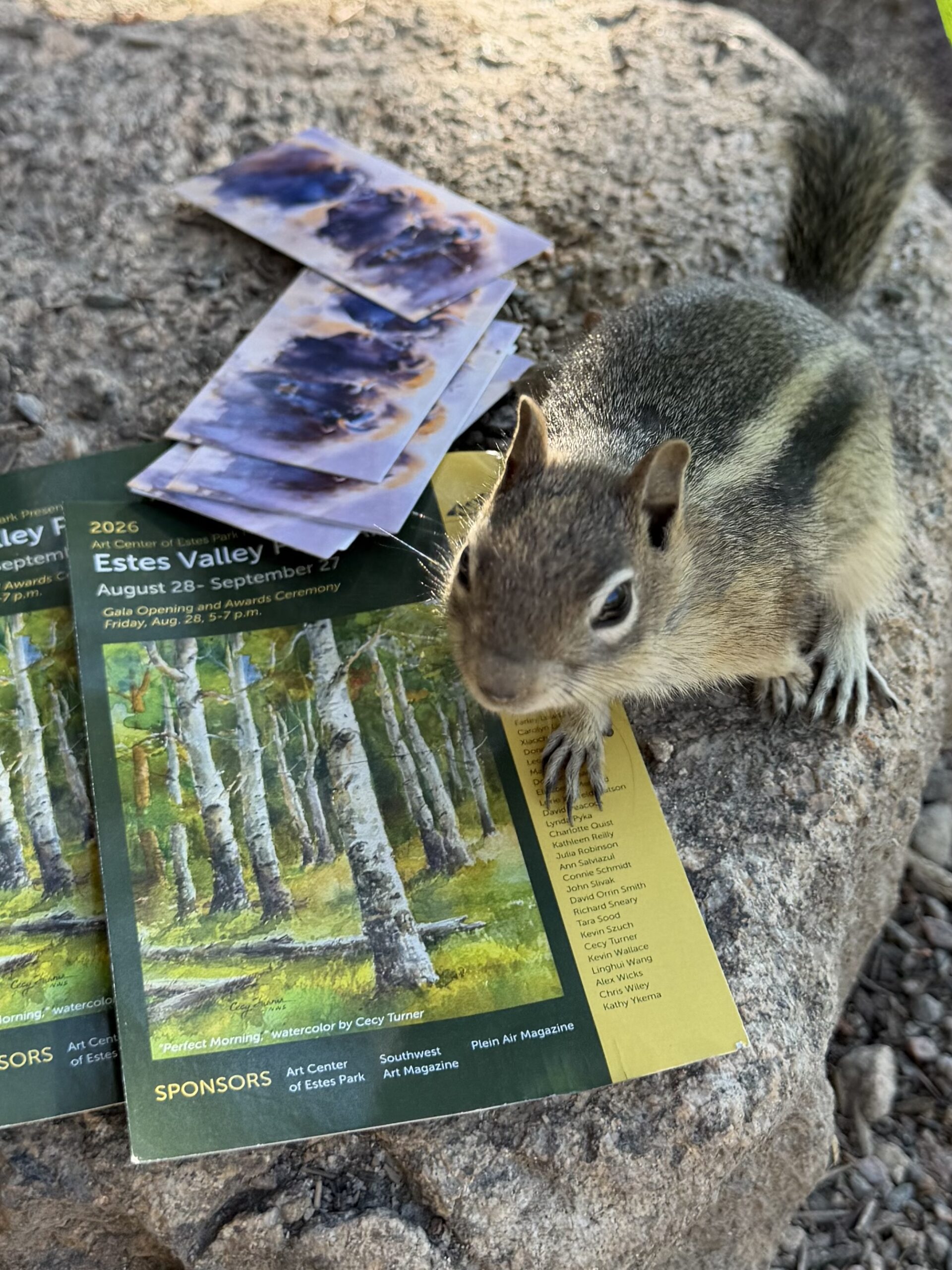 Chipmunk 1
